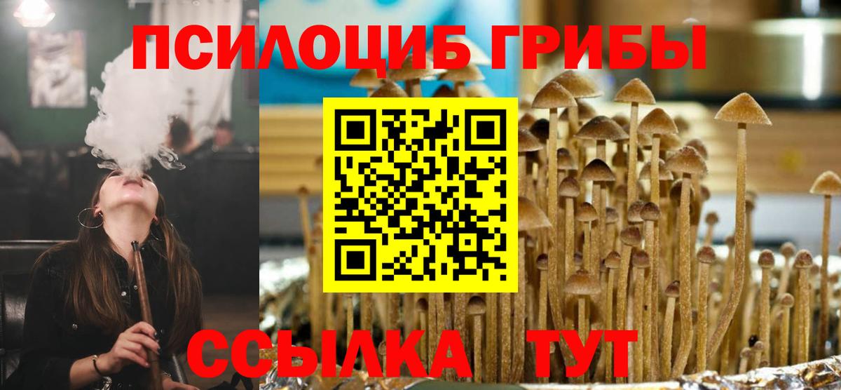 Первоуральск  Псилоцибиновые грибы Magic Shrooms  закладки  Вход с VPN 
